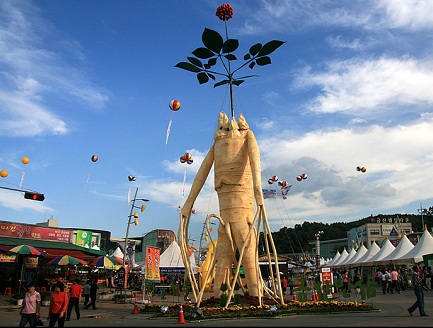 cua hang nhan sam ha noi dia chi mua nhan sam han quoc dang tin cay